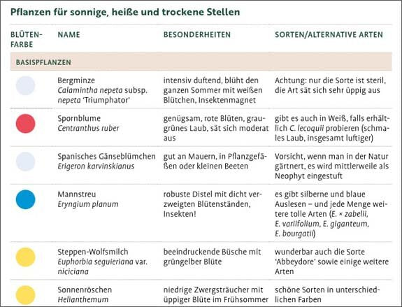 Wächst nicht gibt's nicht
