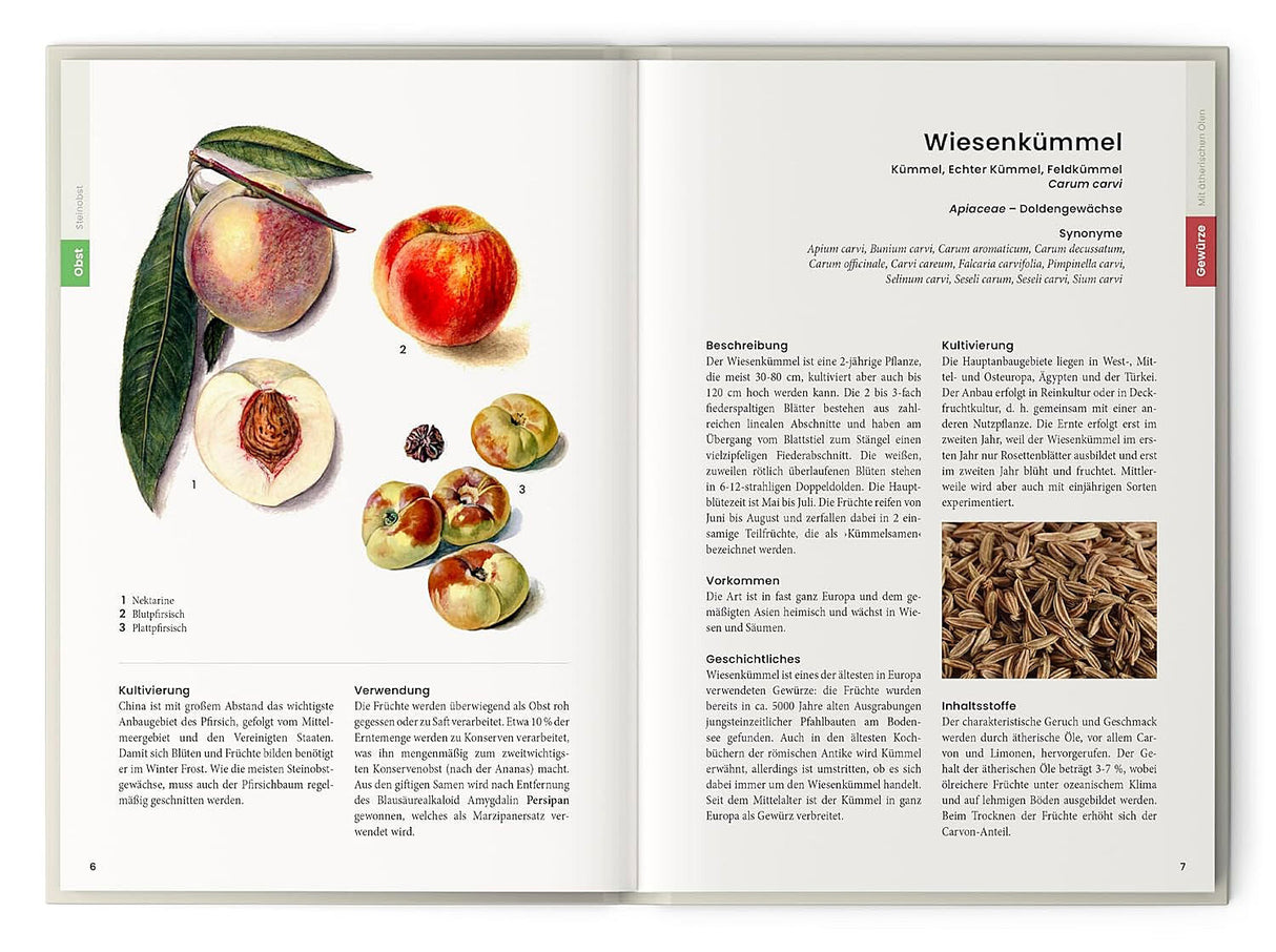 Dr. Oliver Tackenberg: Was wir essen.