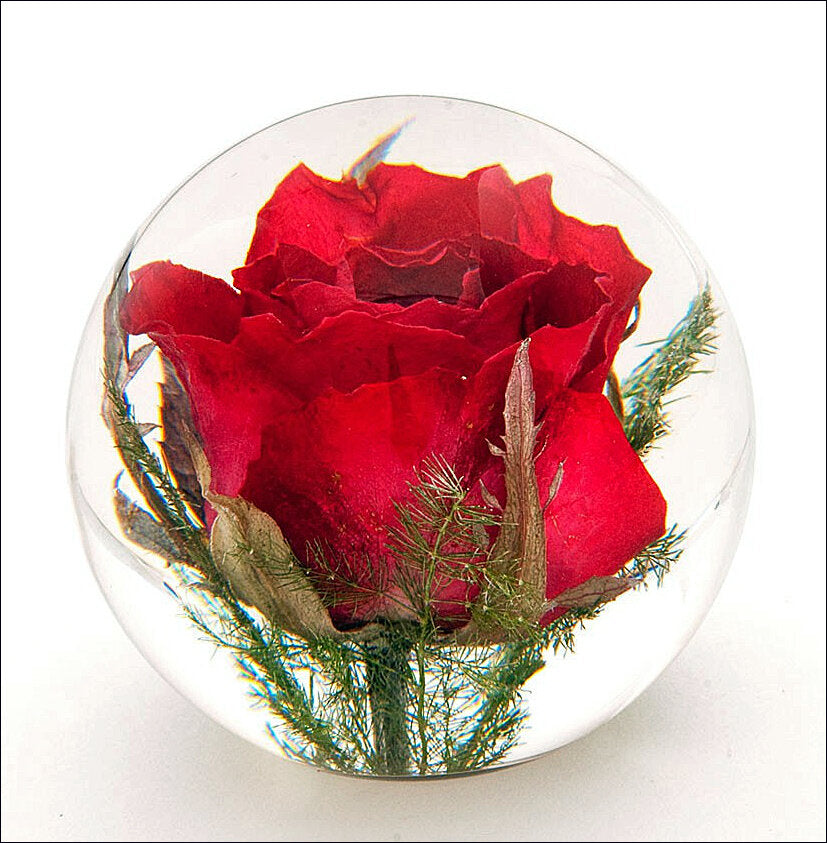 Briefbeschwerer Rose