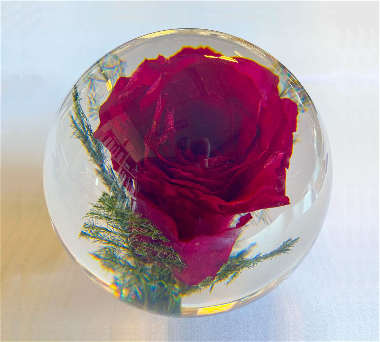 Rote Rose in einer Glaskugel mit grünen Zweigen, Blick nach oben, auf hellem Hintergrund.