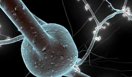 Die Gehirnmaschine. Das Human Brain Project. Video-DVD