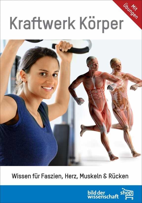 Frau beim Krafttraining mit Hantel, daneben anatomische Muskelmodelle, Text über Muskelkraft und Gesundheit.