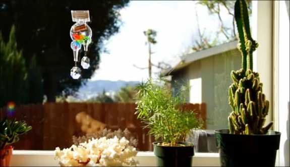 Hänge mit bunten Kristallen vor einem Fenster, mehrere Topfpflanzen auf der Fensterbank, im Hintergrund Bäume und ein Haus.