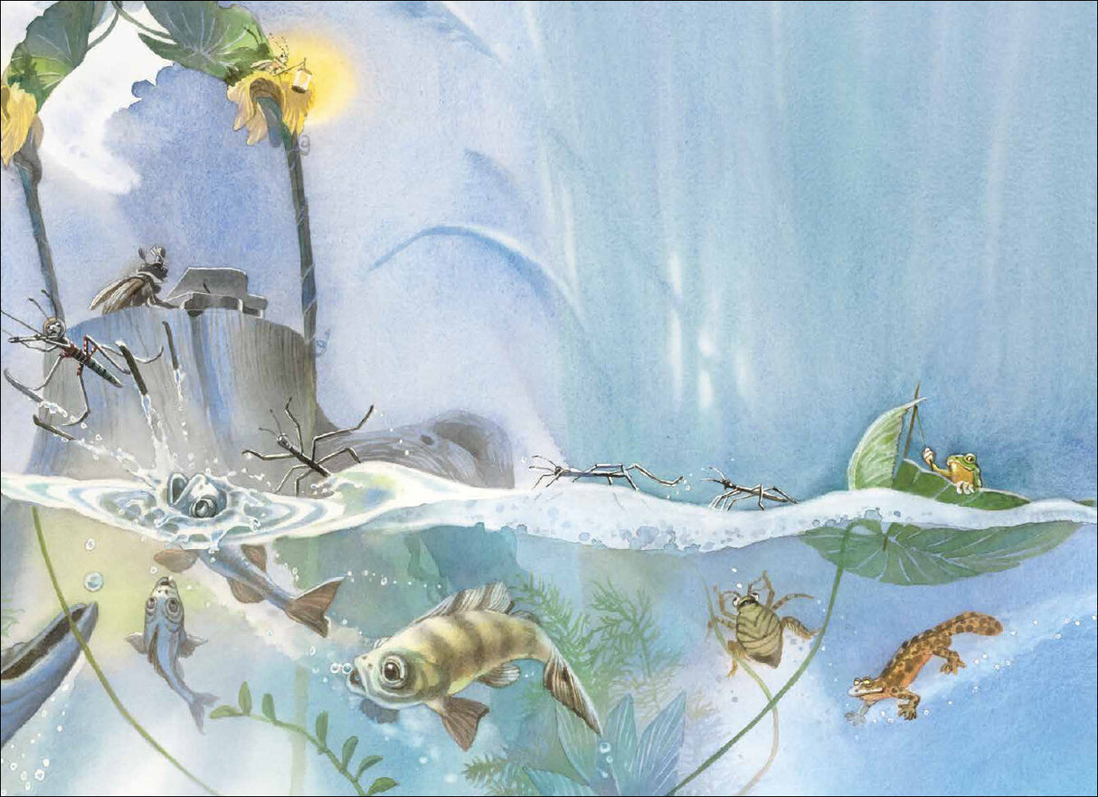 Unterwasser- und Oberwasseransicht mit Fischen, Insekten, Fröschen, Wasserpflanzen, Baumstämmen und einem Blatt.