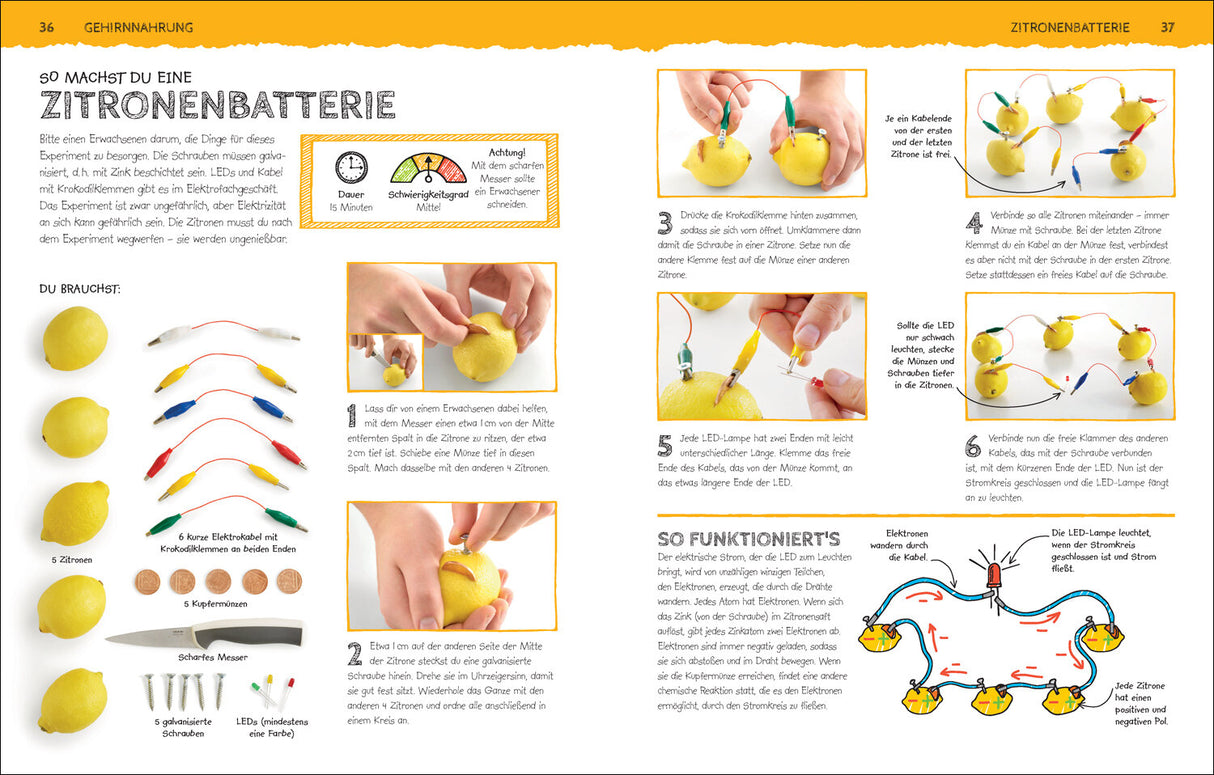 Prof. Robert Winston: Das Superlabor