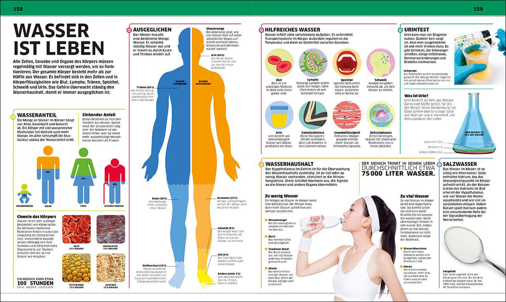 Grafik zeigt den Wasserhaushalt des Körpers, Wasseranteil, Funktionen und Bedeutung für Gesundheit.