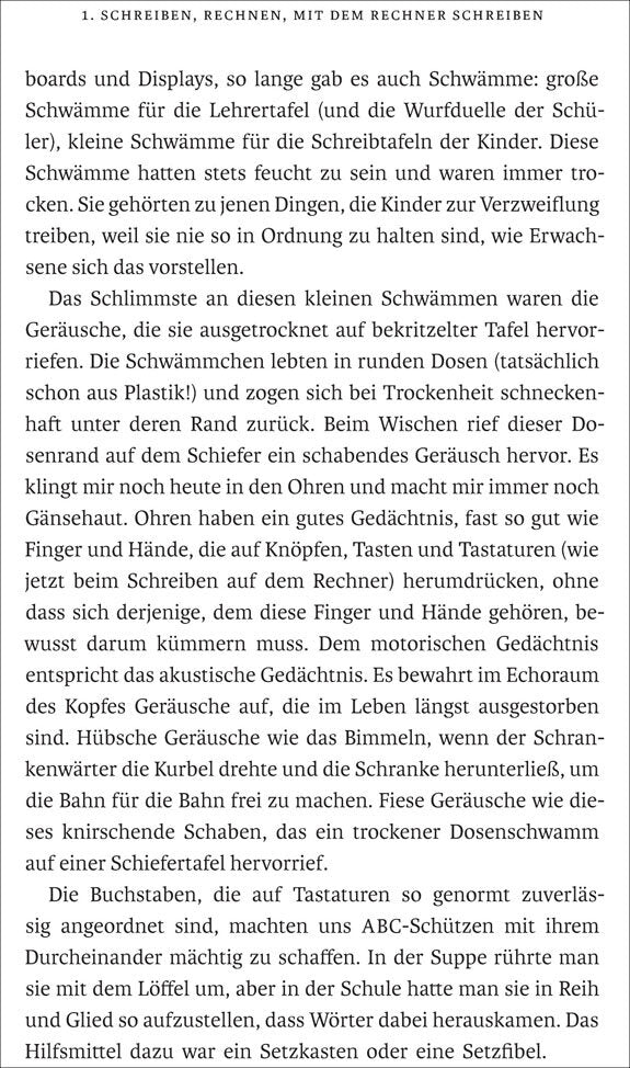 Seitenabschnitt mit Text über Schwämme, Geräusche, Gedächtnis, Buchstaben, Tastaturen und Schulmaterialien.