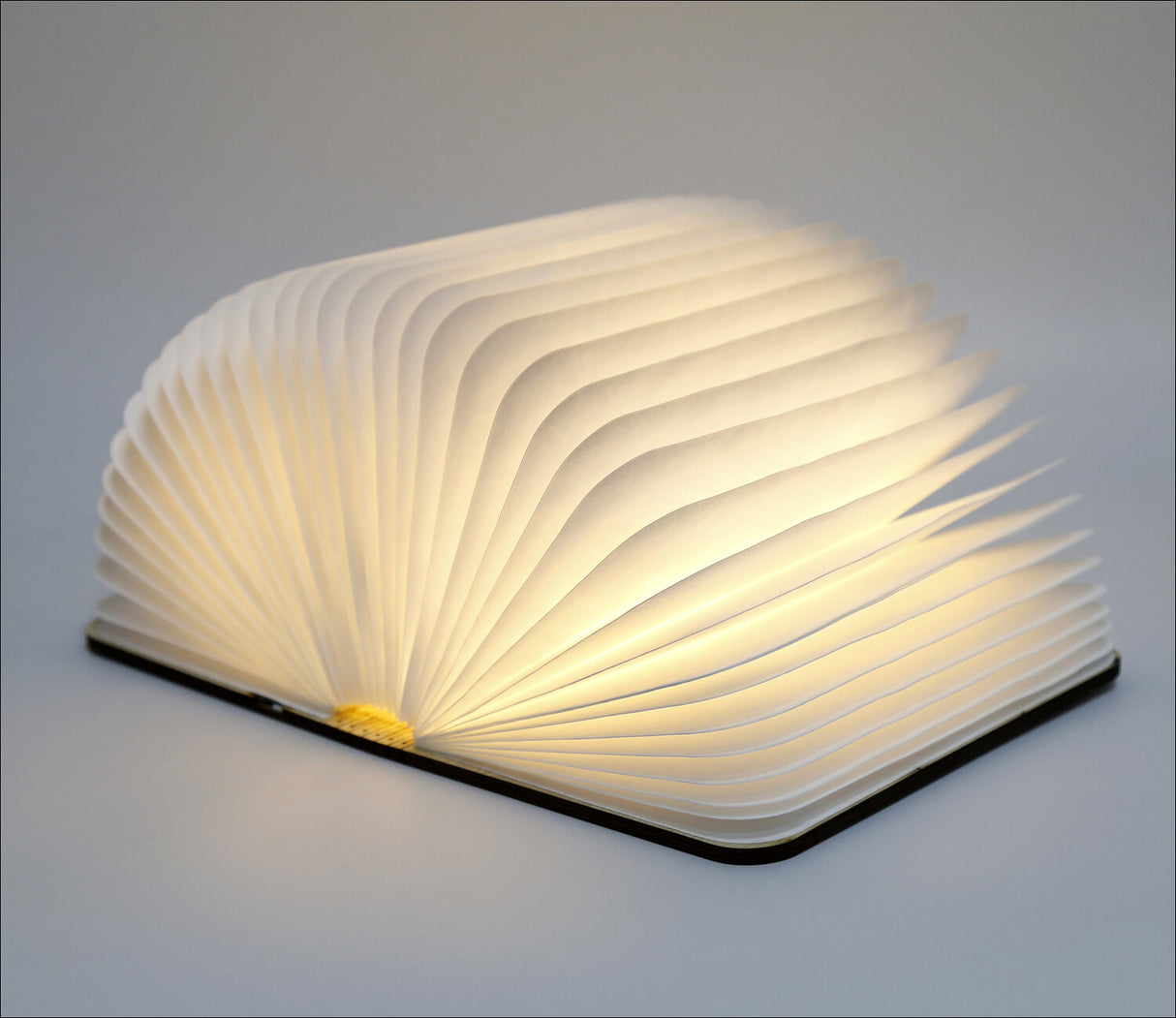Buch-Lampe LED Groß