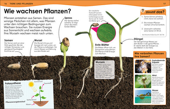 Weshalb? Deshalb! Natur und Technik