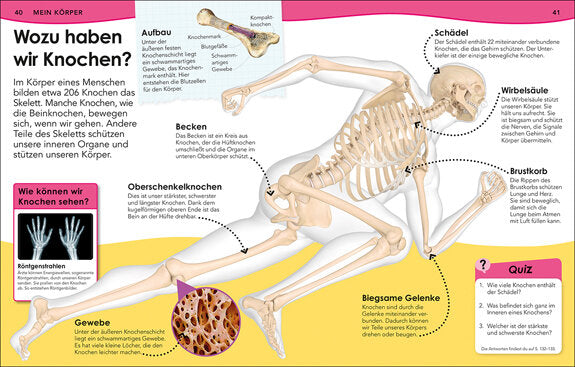 Weshalb? Deshalb! Natur und Technik