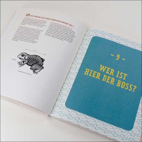 Offenes Buch mit Text und Illustration eines Froschs auf der linken Seite, rechte Seite mit blauer Karte: "Wer ist hier der Boss?"