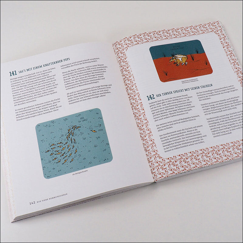 Offenes Buch mit Text und Illustrationen.