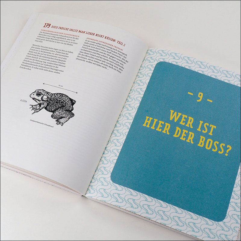 Doppelseite eines Buches mit Text und Illustration eines Frosches