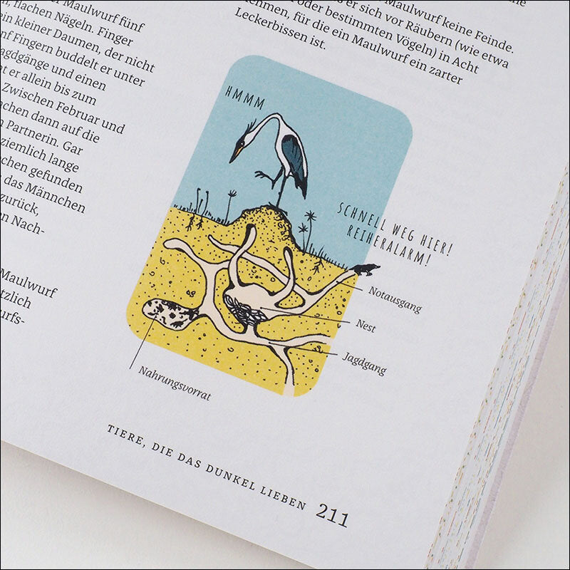 Illustration eines Vogels, der im Boden nach Nahrung sucht