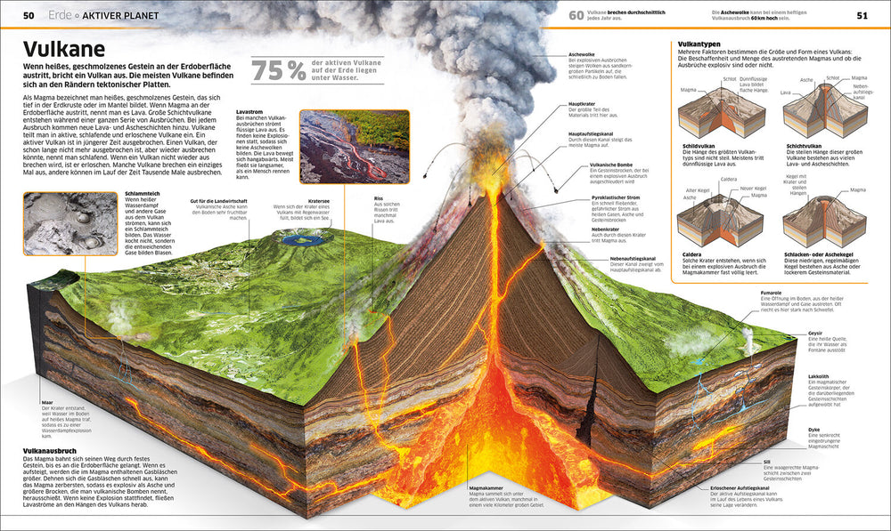Grafik eines Vulkans mit Beschriftungen zu Aufbau, Eruption und Vulkanarten, inklusive Querschnitt und Lavafluss.