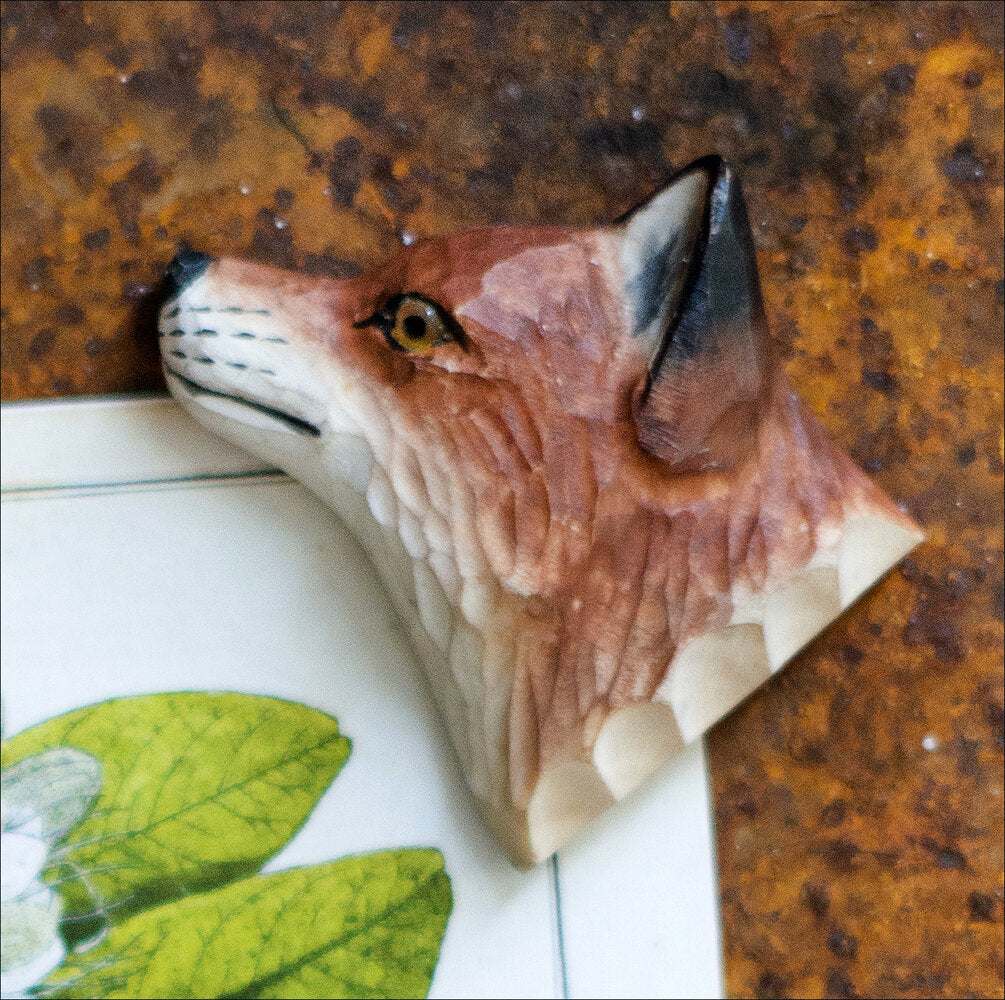 Kühlschrankmagnete Tierwelt 4er Set