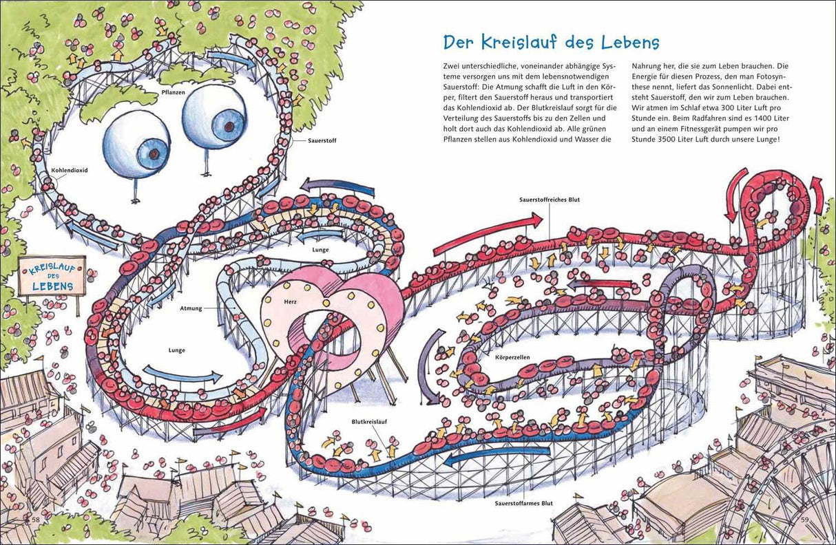 Illustration des Kreislaufs des Lebens mit Herz, Blut, Sauerstoff, Lunge, Zellen und Blutkreislauf.