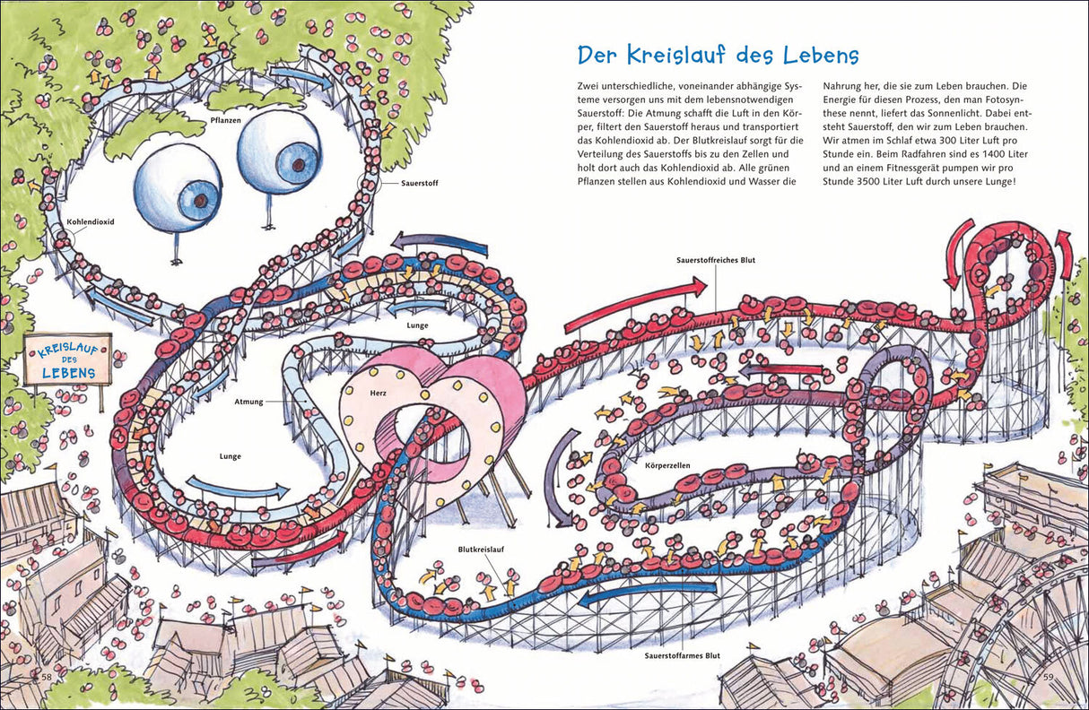 Illustration des Kreislaufs des Lebens mit beschrifteten Stationen wie Sauerstoff, Kohlendioxid, Atmung, Herz, Blutkreislauf