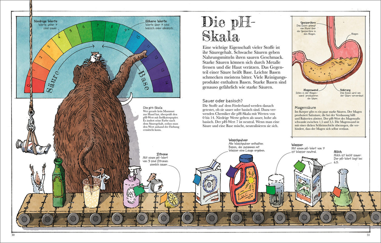 Illustration einer pH-Skala, ein Bär zeigt auf die Skala, umgeben von Waschmitteln, Lebensmitteln und Erklärungen zum pH-Wert.