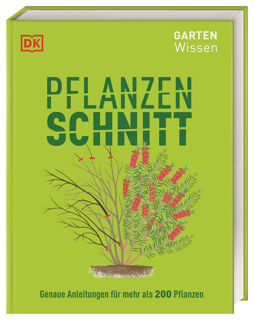 Buchcover mit grünem Hintergrund, Titel "Pflanzen schneiden", Illustration eines Strauchs in der Mitte, DK-Logo oben links.