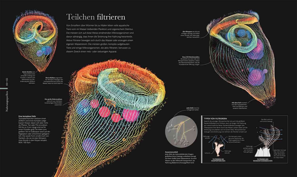 Mikrokosmos - Wunderwelt der kleinsten Lebewesen.