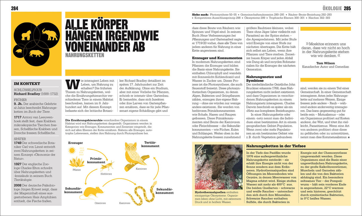 Grafik zeigt die Nahrungskette in der Tiefsee mit Pflanzen, Herbivoren, Primärkonsumenten, Omnivoren, Sekundärkonsumenten