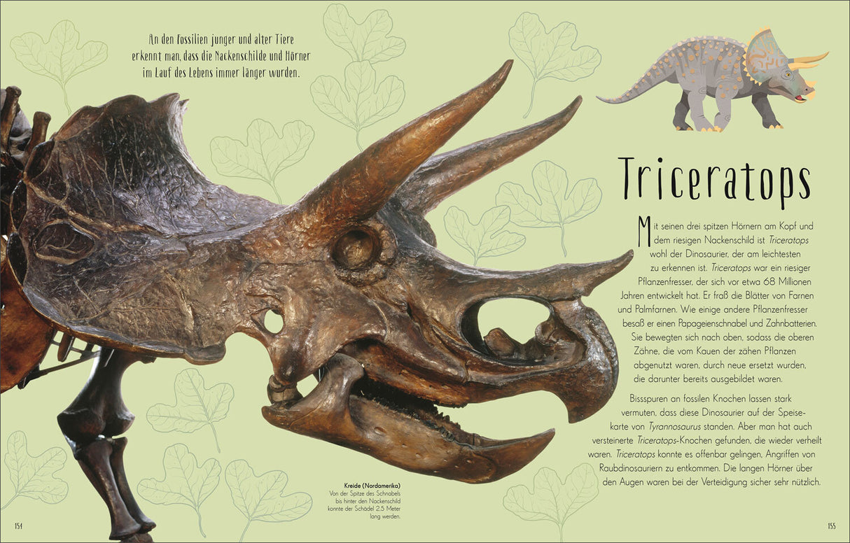 Dinosaurierschädel mit drei Hörnern und großem Nackenschild, Triceratops, auf grünem Hintergrund mit Text und Pflanzenzeichnungen.