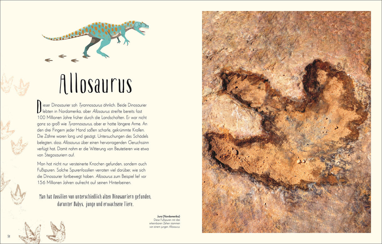 Illustration eines Allosaurus und Fußspur im Gestein, dazu Text über den Dinosaurier und seine Fossilien.