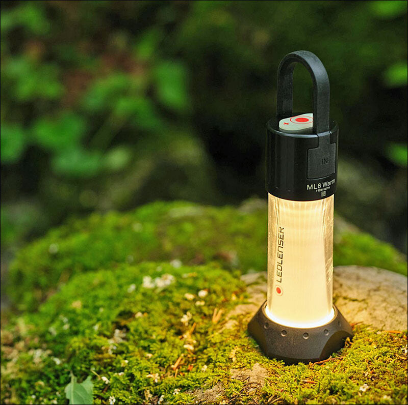 Leuchtende LED-Laterne auf moosbedecktem Baumstamm im Wald.