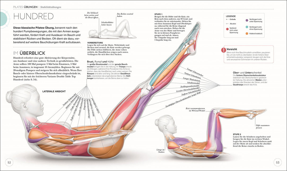 Pilates - Die Anatomie verstehen