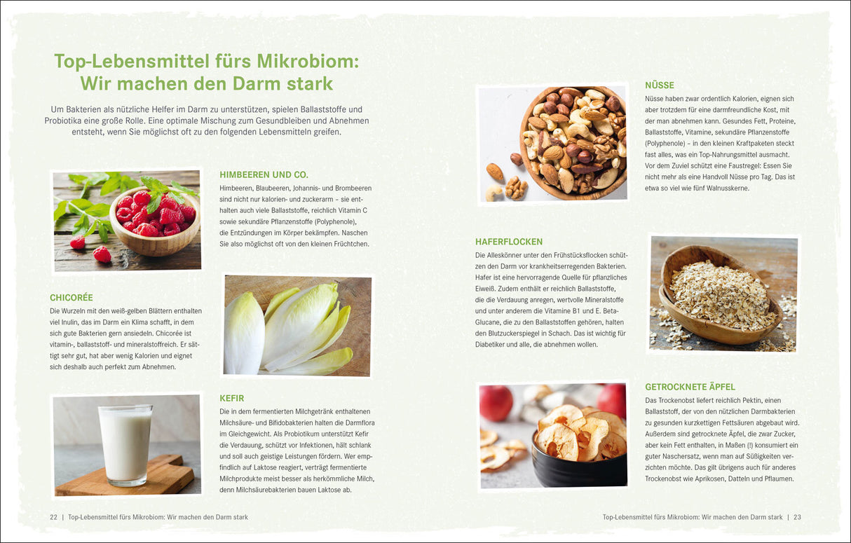 Verschiedene Lebensmittel für eine darmfreundliche Ernährung, darunter Beeren, Chicorée, Kefir, Nüsse, Haferflocken