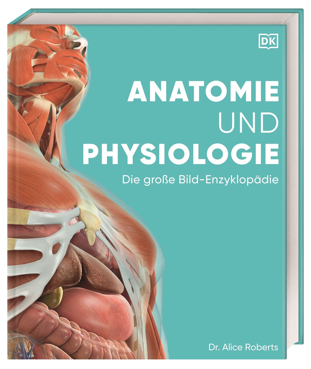 Buchcover mit anatomischer Illustration eines menschlichen Kopfes und Oberkörpers, Titel "Anatomie und Physiologie"