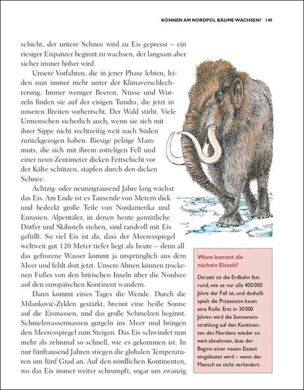 Illustration eines Mammuts mit Stoßzähnen, braunem Fell und kleinerem Kopf, stehend auf Schnee.