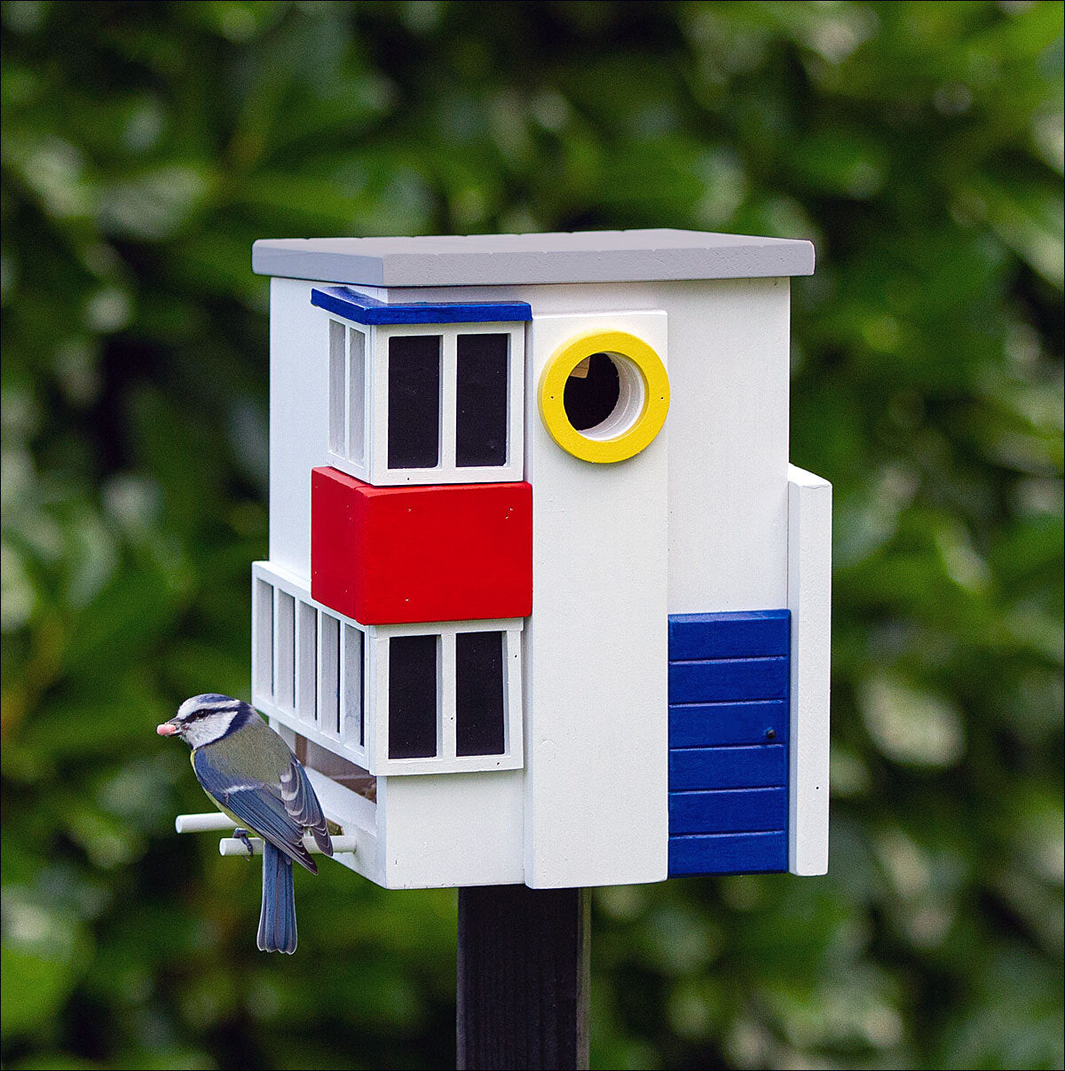 Bunte Vogelhaus mit blauen, roten, weißen und gelben Elementen, daneben ein Meisenknödel, im Hintergrund grüne Blätter.