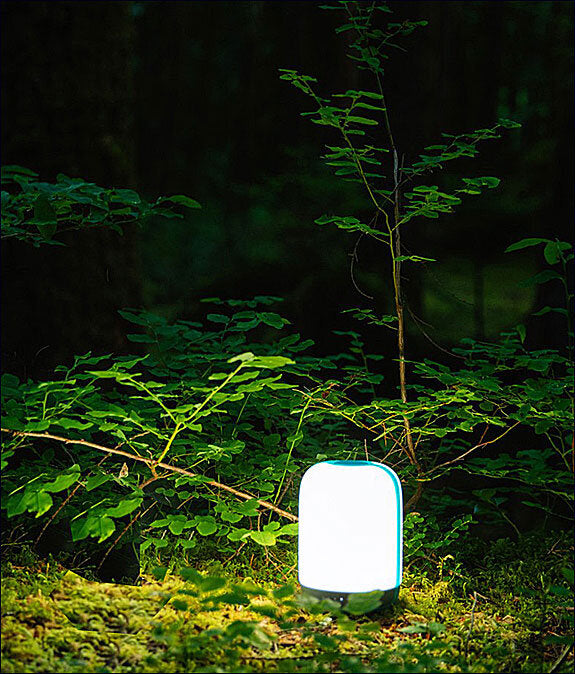 Leuchtendes Gerät auf moosbedecktem Boden vor grünen Pflanzen im dunklen Wald.
