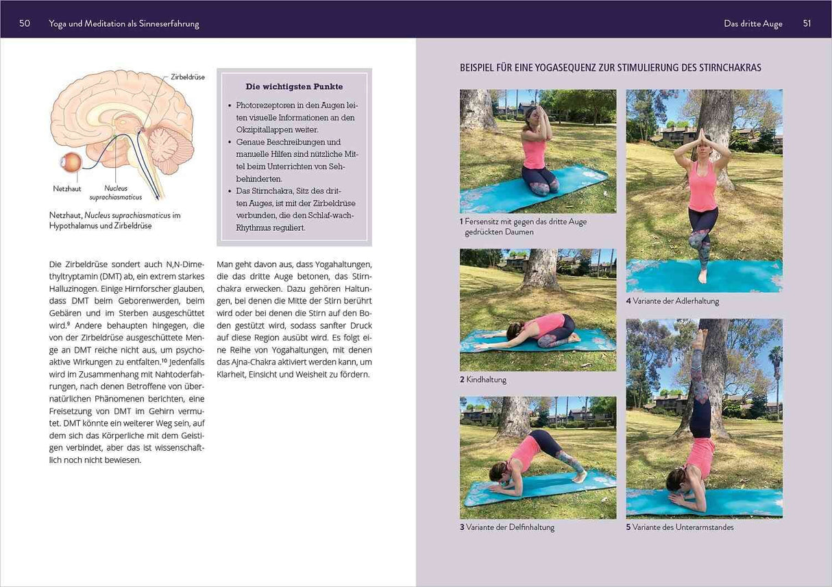 Frau in pinkem Top und Leggings in verschiedenen Yoga-Positionen im Freien auf einer blauen Matte.