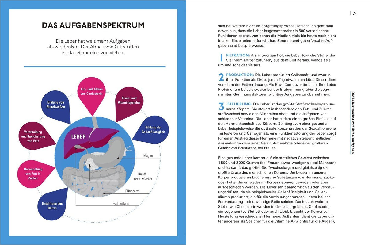 Diagramm des menschlichen Darms mit Beschriftungen zu Funktionen wie Verdauung, Gallenflüssigkeit, Blutbildung und Entgiftung.