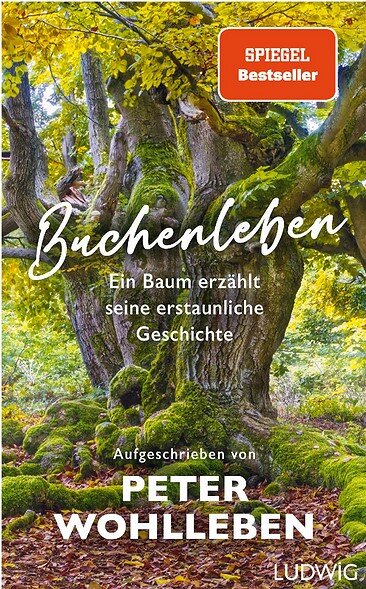 Ein alter Baum mit dicken, moosbedeckten Ästen und grünem Laub im Wald.