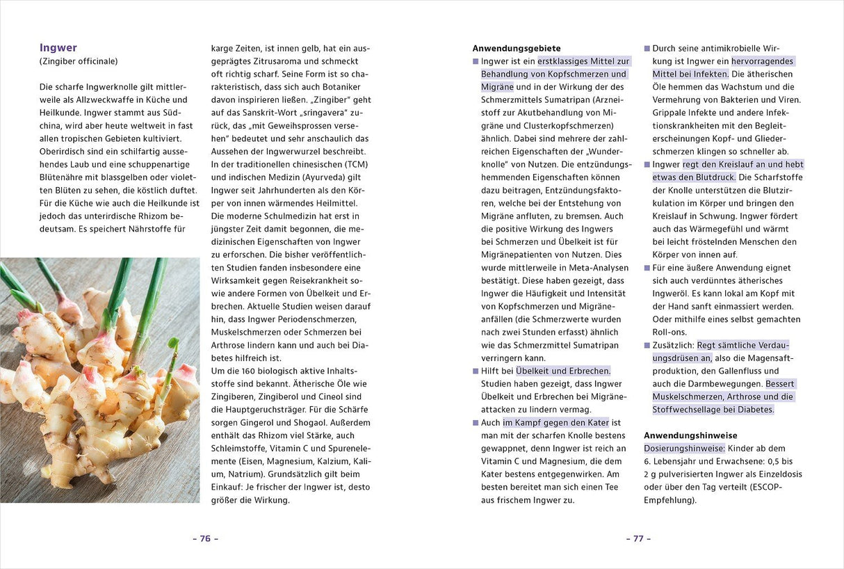 Schluss mit Kopfschmerzen