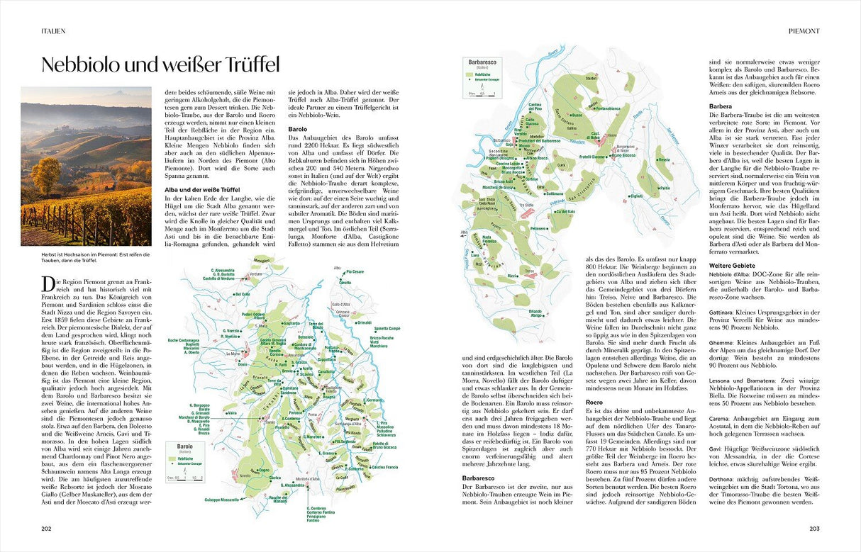 Wein – Die große Schule