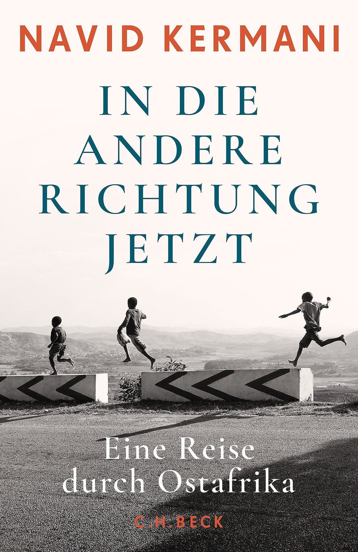 Buchcover mit drei Kindern, die auf einer Mauer springen, im Hintergrund eine Landschaft, Titel und Autorennamen.
