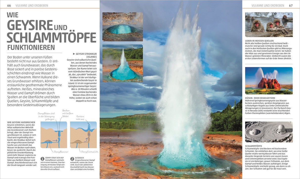 Großer Geysir, der Wasser in die Luft schießt, mit Himmel und grüner Landschaft im Hintergrund.