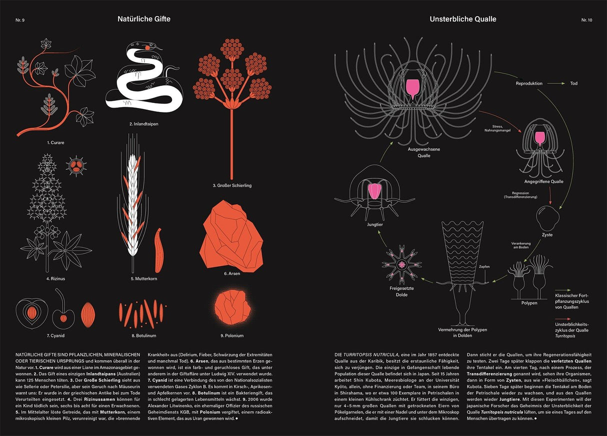 Grafik über natürliche Gifte und deren Wirkung bei Quallen, mit Illustrationen und Beschreibungen.