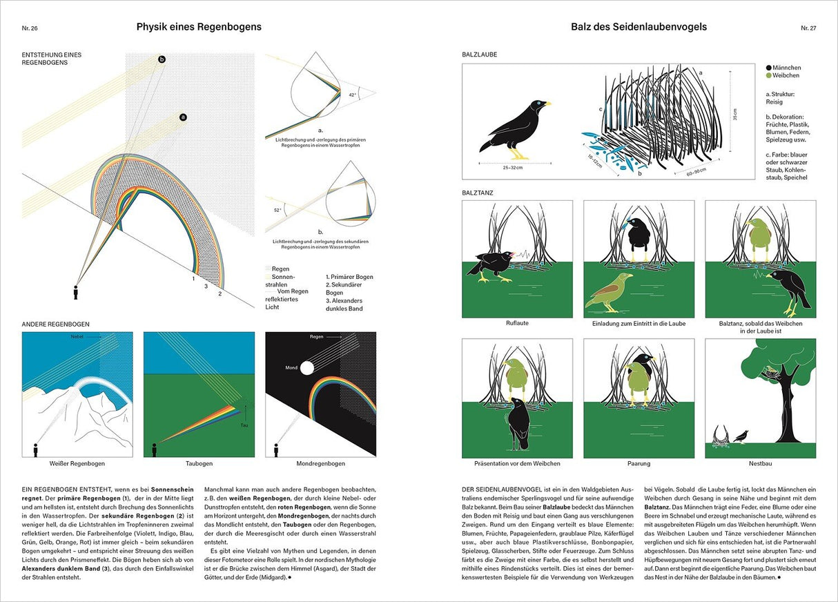 Diagramm und Illustrationen zum Entstehen und Aufbau eines Regenbogens sowie zum Balzverhalten des Seidenlaubenvogels.