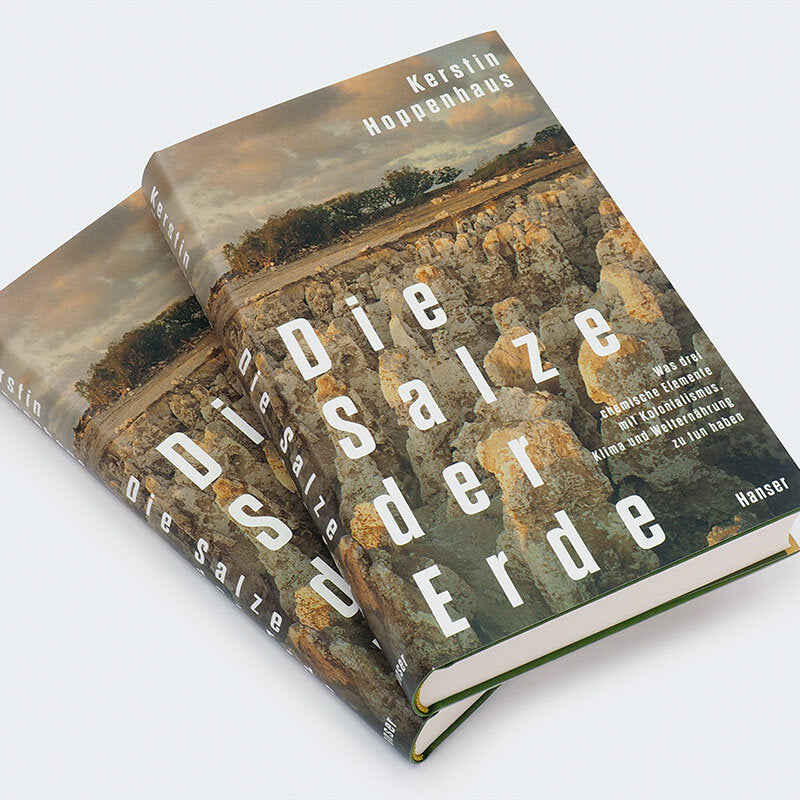 Buch mit Titel "Die Dritte Seite der Erde" von Kerstin Hoppenhaus, zeigt eine Felslandschaft mit Bäumen und Himmel.