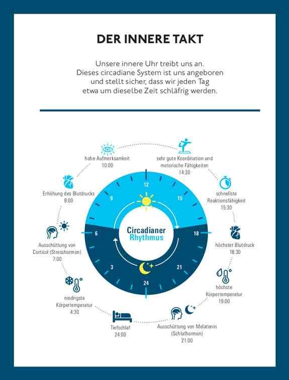 Diagramm des circadianen Rhythmus mit Tageszeiten, Schlaf, Körpertemperatur und Hormonspiegel.