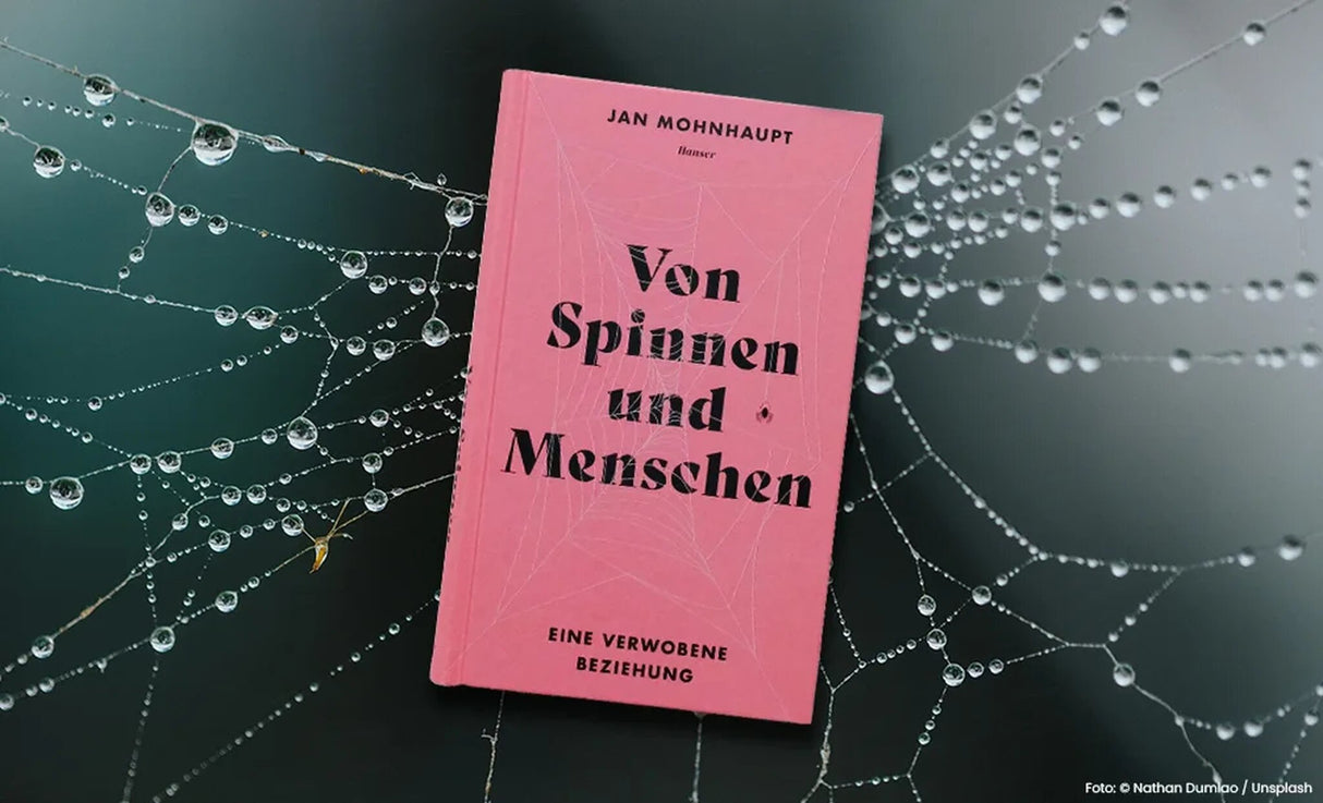 Von Spinnen und Menschen. Eine verwobene Beziehung