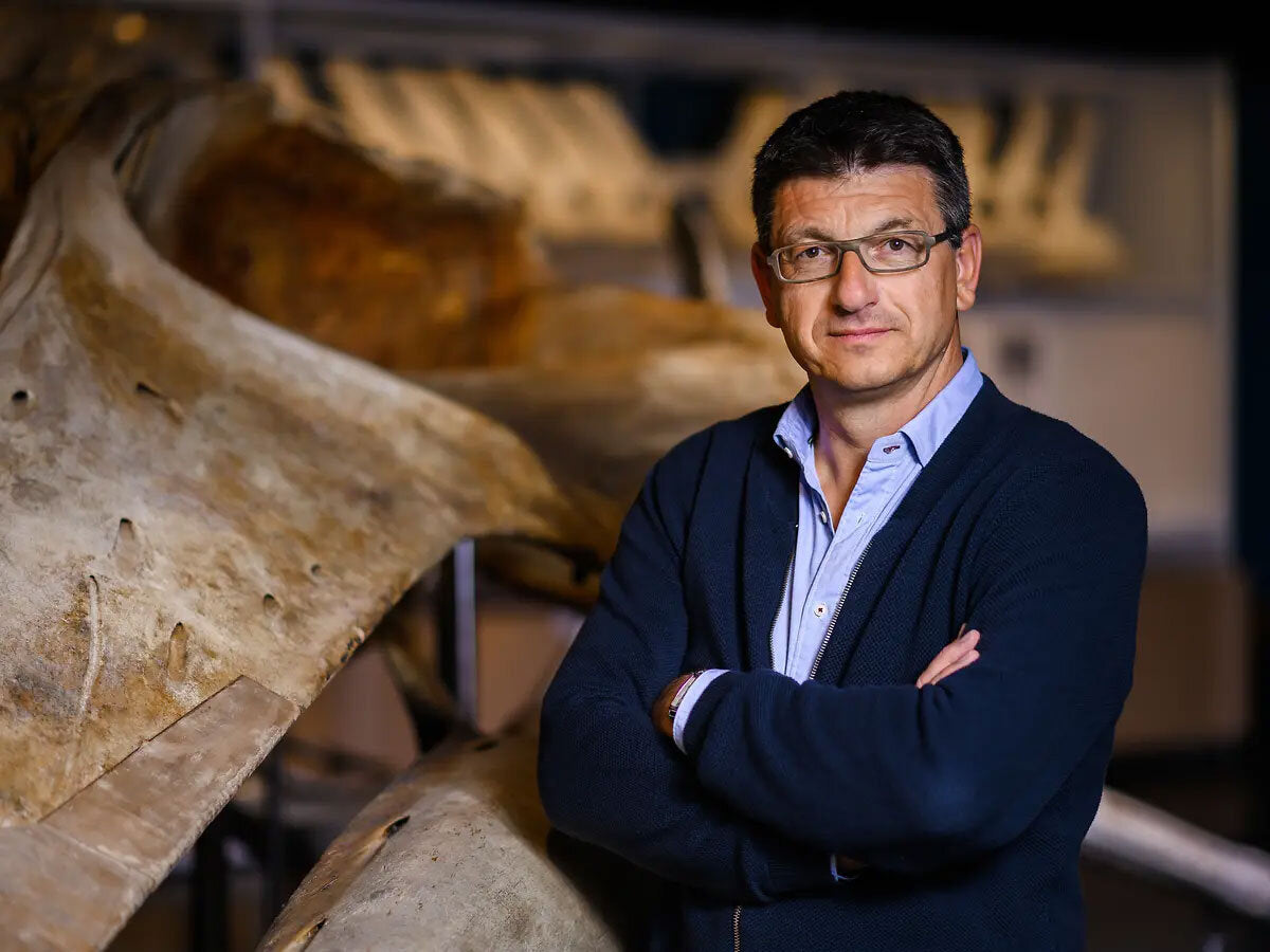 Das stille Sterben der Natur