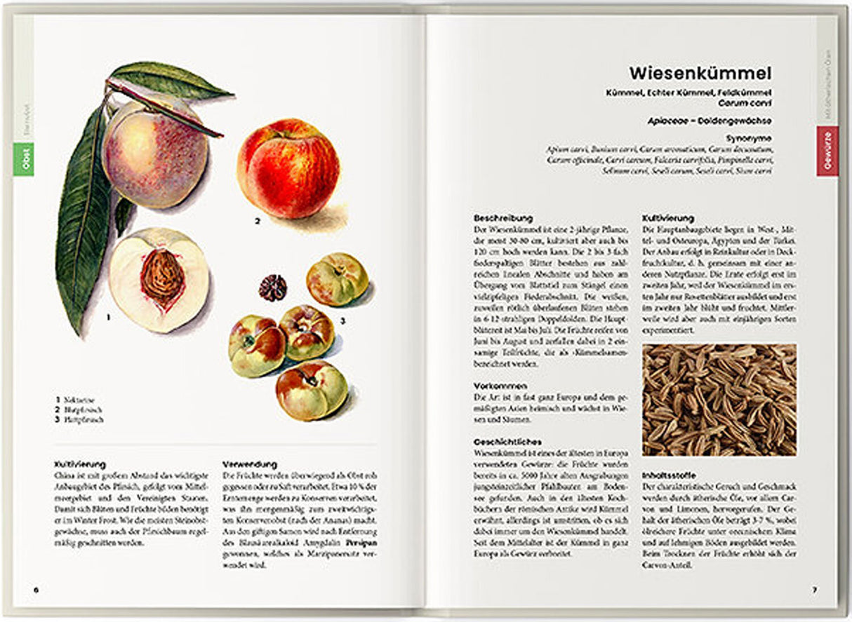 Dr. Oliver Tackenberg: Was wir essen.