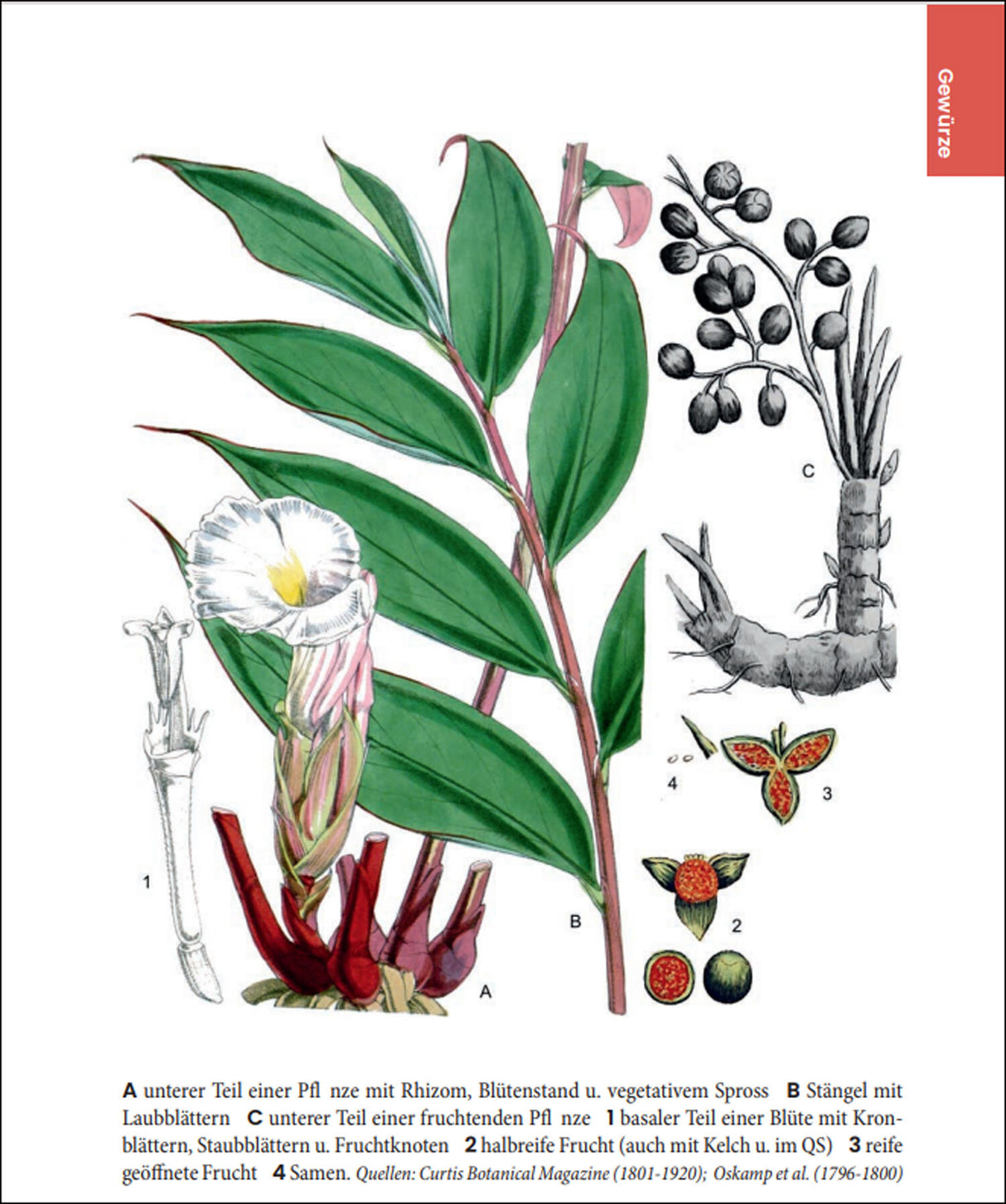 Dr. Oliver Tackenberg: Was wir essen.